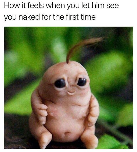 naked meme funny|More.